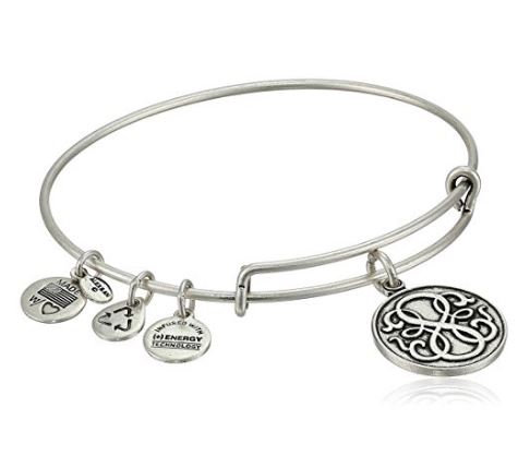 Alex and Ani Bangle Bar Path of Life Rafaelian Expandable Bracelet