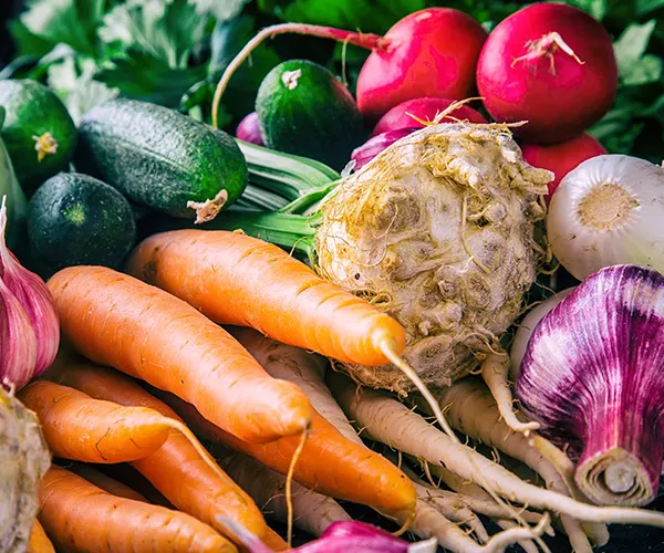 Delicious meals that support weight loss goals