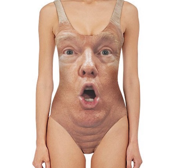 donald trump one piece