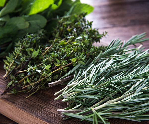 hormone herbs