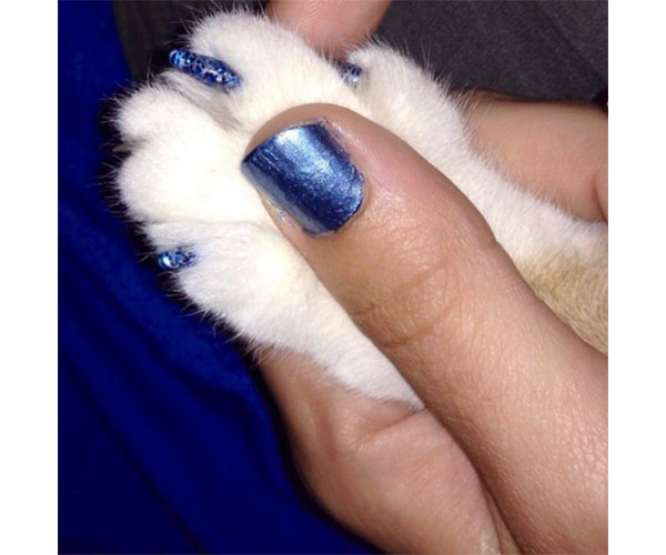 Try This New Nail Trend With Your Favorite Feline! SHEfinds