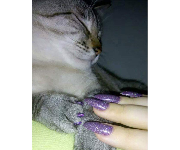 Try This New Nail Trend With Your Favorite Feline! SHEfinds