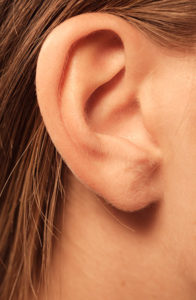 closeup woman's ear