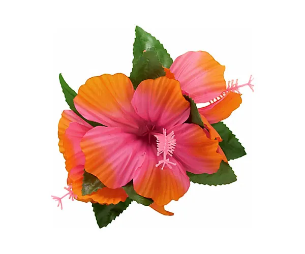 Image from SHEfinds
