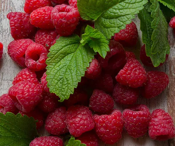 raspberries