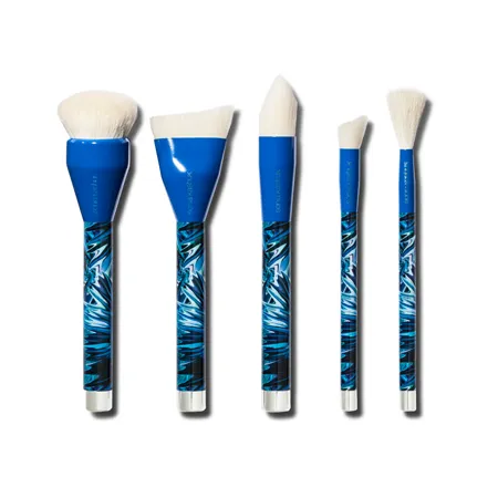 Sonia Kashuk Air-Brushed Skin 5-piece Brush Set Image from SHEfinds