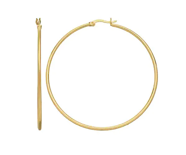 lady gaga hoops