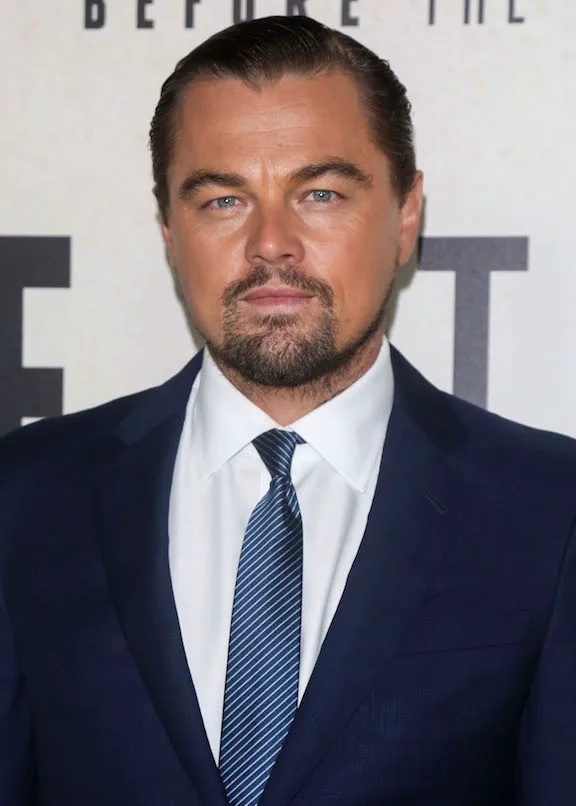 leonardo dicaprio rihanna