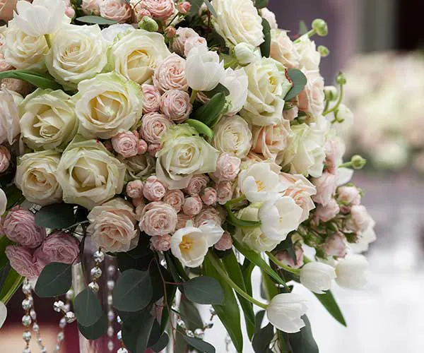 Image from SHEfinds