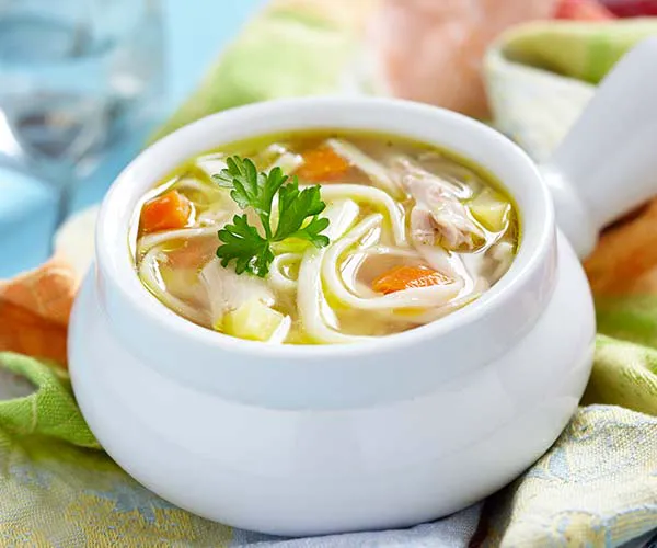 chicken noodle soup