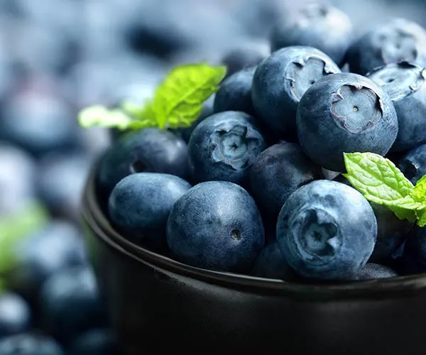 anti-inflammatory foods reduce bloat