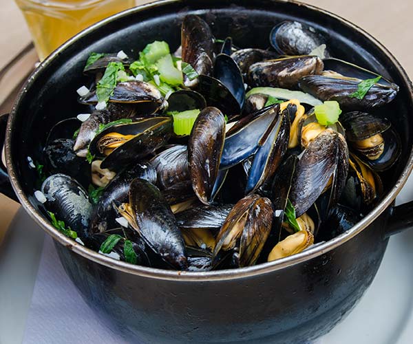 mussels