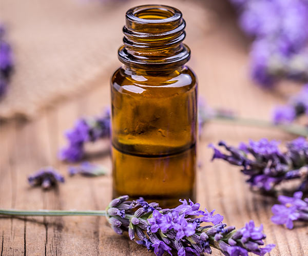 lavender oil