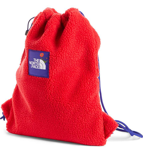 the north face drawstring bag