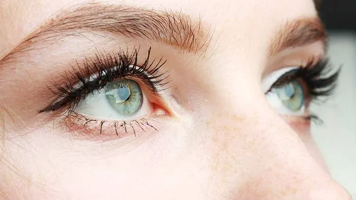Image from SHEfinds