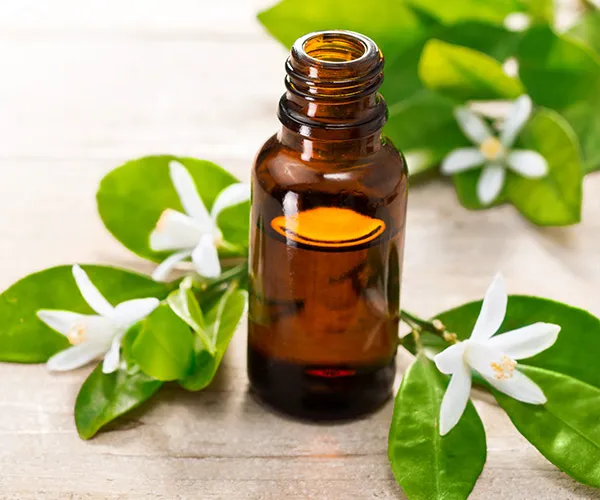 Neroli Oil neroli