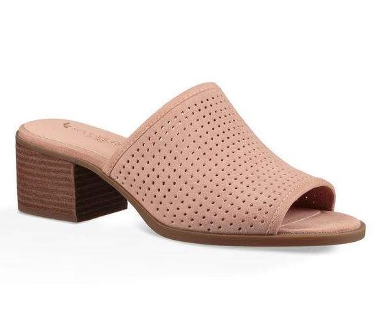 koolaburra raychel mule in blush