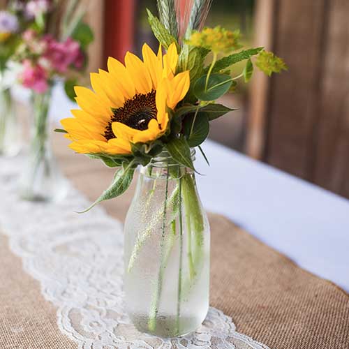 sunflower on table