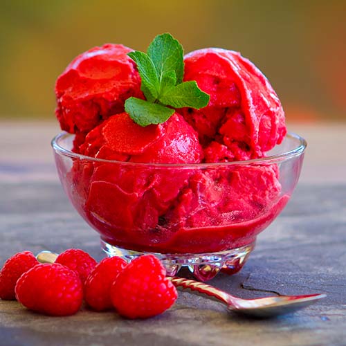 raspberry sorbet