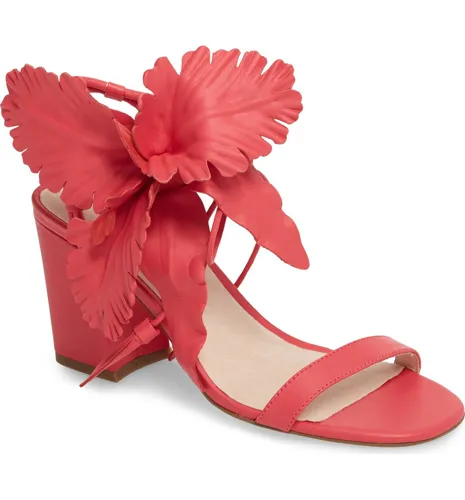 Image from SHEfinds