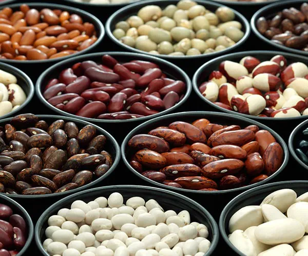 healthy foods cause bloating