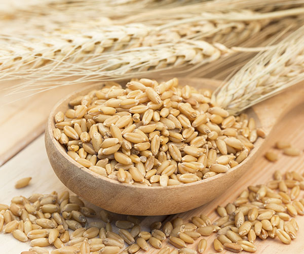 5 Carbs You Can Eat All You Want Without Gaining Weight, According To