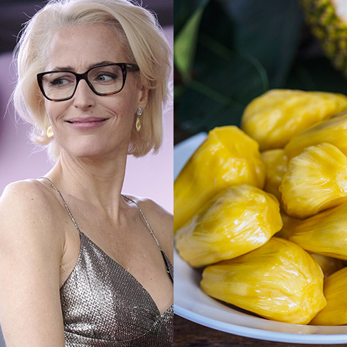 gillian anderson jackfruit