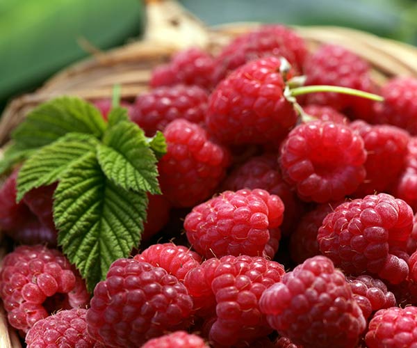 raspberries