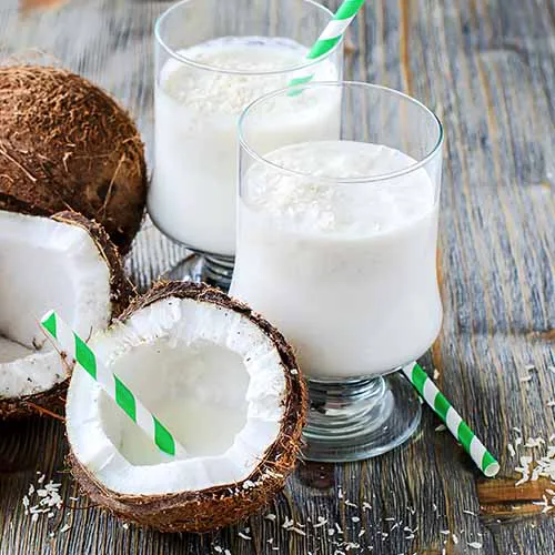 coconut