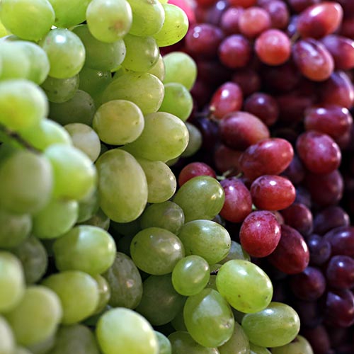 Are Grapes Good For Weight Loss Diet Plans To Lose Weight