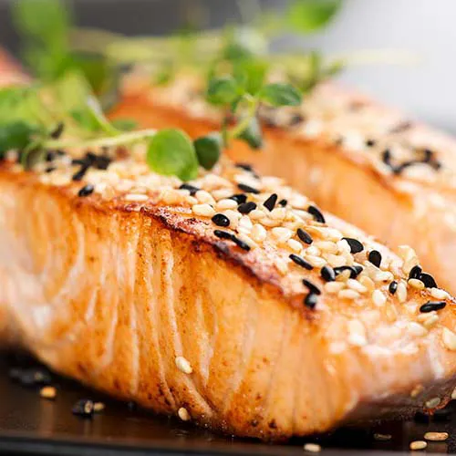 Protein-rich foods ideal for a dieting lifestyle.