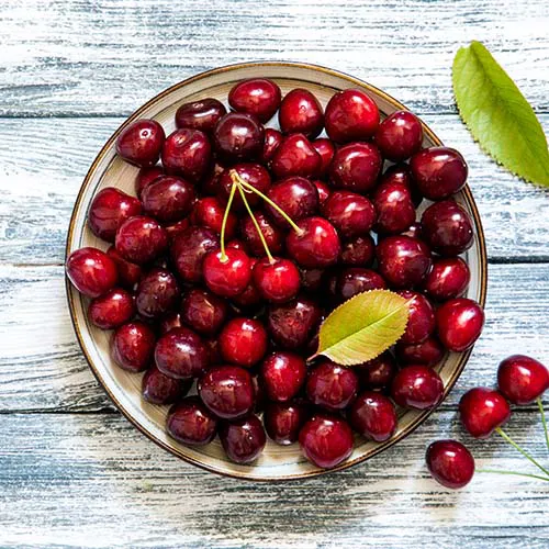 Healthy meal options for effective dieting and weight loss.