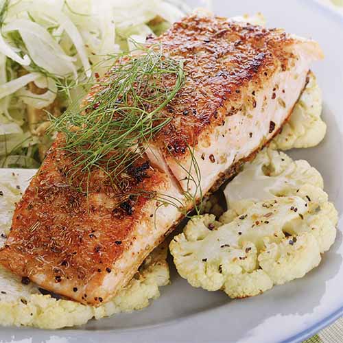 salmon