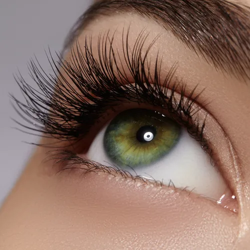 Image from SHEfinds