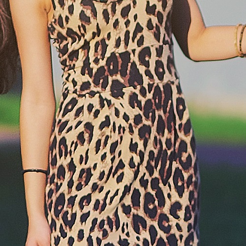 nordstrom leopard print dress