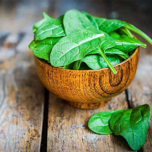 Fresh spinach in a wood bowl.