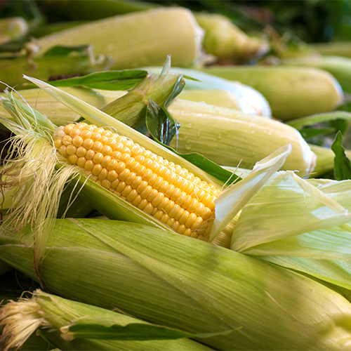 Corn on the cobb