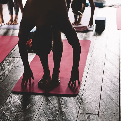 Silhouette of people doing yoga.