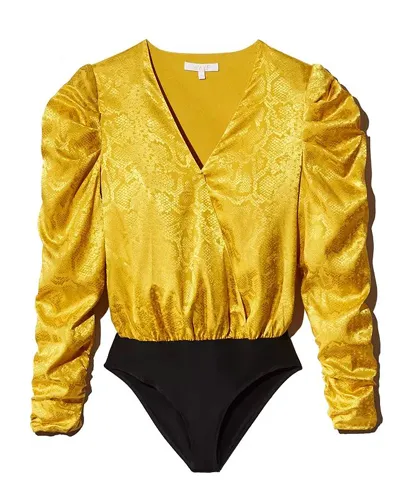 Sleeve Bodysuit
