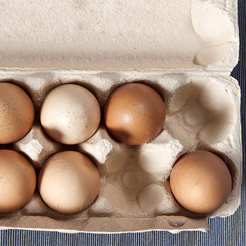 egg carton