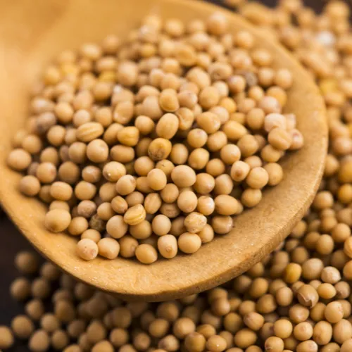 mustard seed