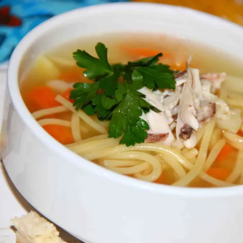 chicken noodle soup