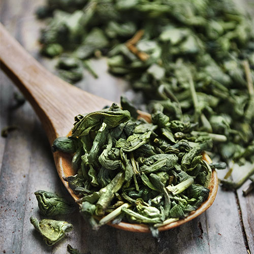 green tea best hot drink for anti aging beauty