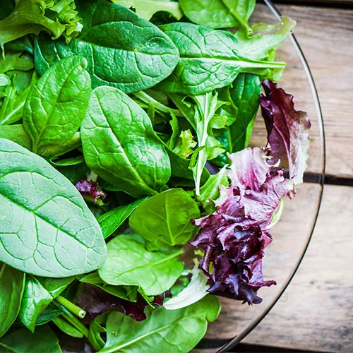 mixed greens