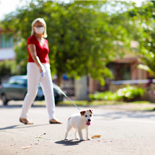 woman walking dog