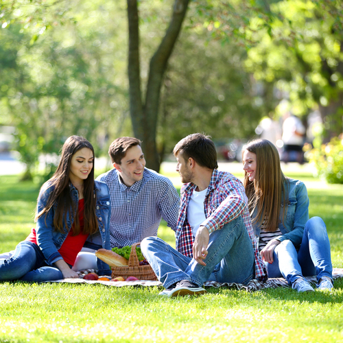 people at the park