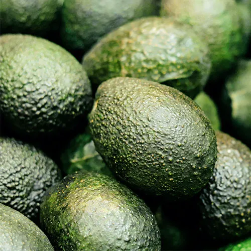 avocado best anti aging food for younger brighter skin