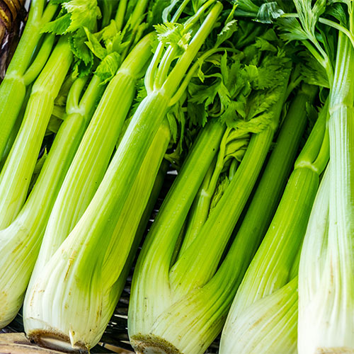 celery