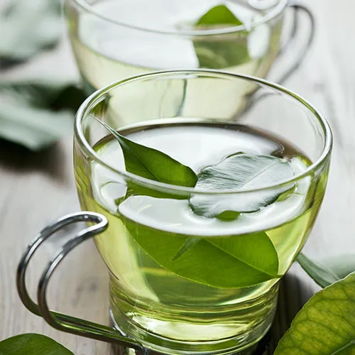 green tea best anti aging drink skincare