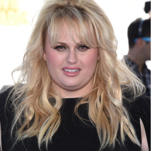 Rebel Wilson Looks Unrecognizable Now–See The Pics! - SHEfinds